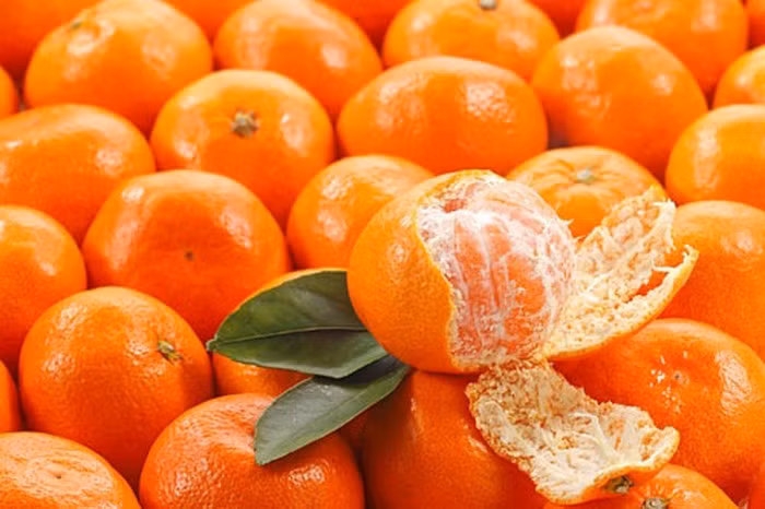 Nhiều người ăn quýt thường ăn múi và vứt vỏ đi.