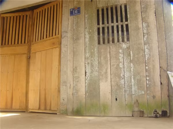 Cảm động câu chuyện chú chó đeo khăn tang và nguyện chết theo chủ