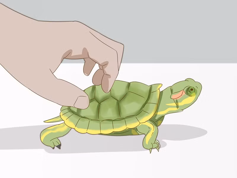 5 giấc mơ báo hiệu bạn sắp nhận nhiều tin vui ảnh 5