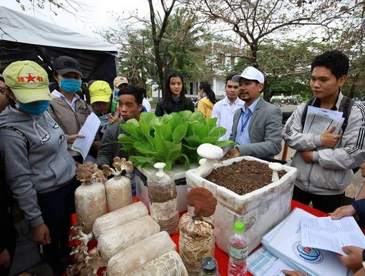 Hoạt động nghiên cứu khoa học của sinh viên ĐH Quy Nhơn ngày càng đi vào chiều sâu, mang lại ý nghĩa, hiệu quả thiết thực. 