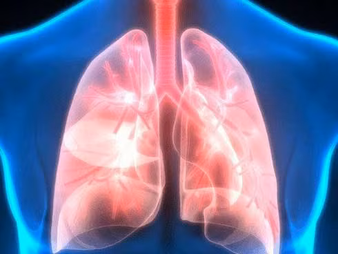 6 cách “quét sạch” độc tố trong phổi: Thực hiện mỗi ngày vì phổi hít phải nhiều chất bẩn
