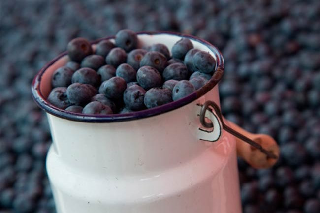 8 thực phẩm giúp tăng khả năng giải độc tự nhiên của cơ thể hình 6 8 thuc pham giup tang kha nang giai doc tu nhien cua co the hinh 6