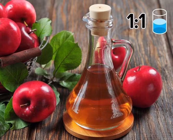 Những cách trị gàu đơn giản, ít tốn kém mà hiệu quả bất ngờ - ảnh 2