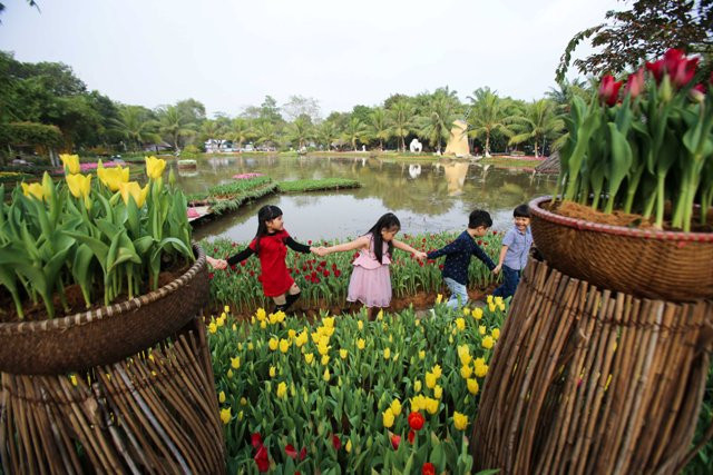 Những bông hoa Tulip Christmas Dream với sắc đỏ hồng đặc trưng.