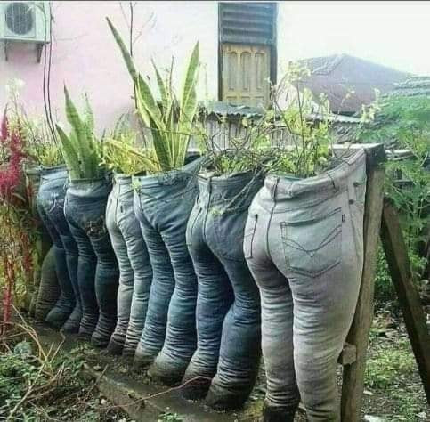 Bảo vệ môi trường