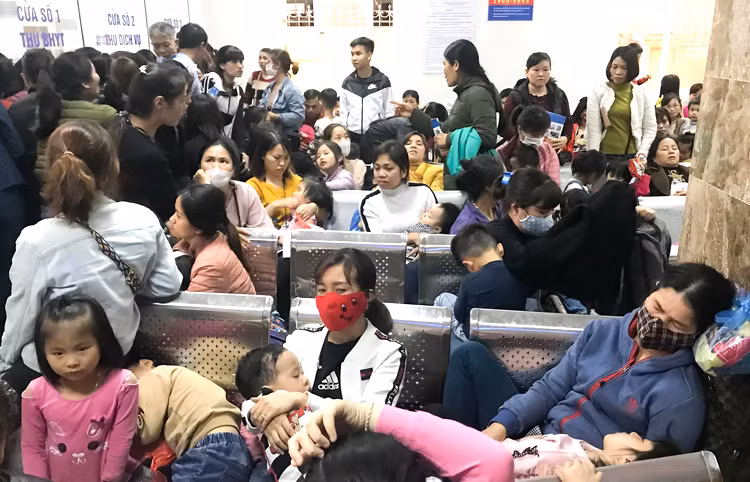 Hàng nghìn học sinh Bắc Ninh chờ để xét nghiệm sán lợn tại các bệnh viện tại Hà Nội Hàng nghìn học sinh Bắc Ninh chờ để xét nghiệm sán lợn tại các bệnh viện tại Hà Nội