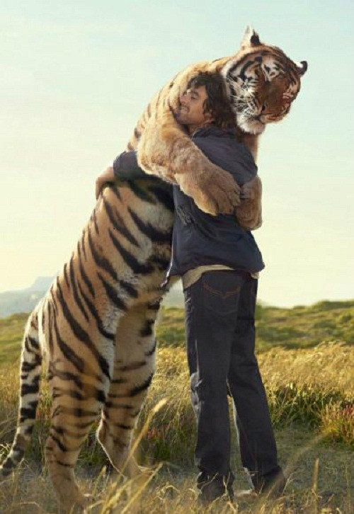 Em cũng chỉ là con... hổ thôi. Em cũng chỉ là con... hổ thôi - 10 ảnh hài hot nhất Facebook