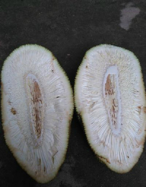 Hận người bán mít. Hận người bán mít - 10 ảnh hài hot nhất Facebook