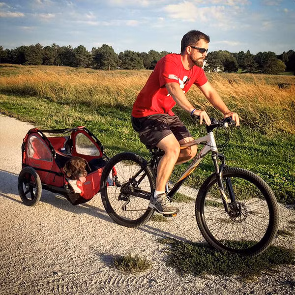 co-cho-kien-cuong-vuot-qua-benh-tat