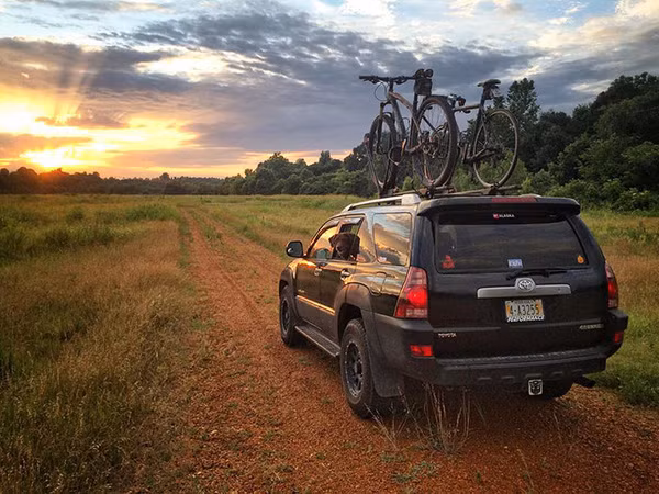 co-cho-kien-cuong-vuot-qua-benh-tat