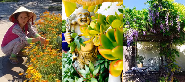 nhung-ngoi-nha-xanh-muot-cua-sao-viet-o-my-1