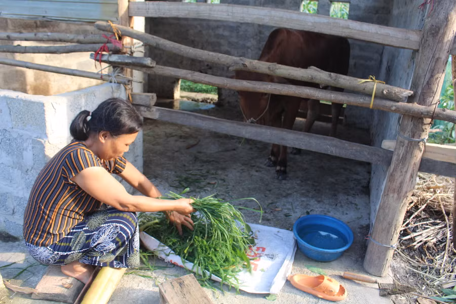 Huy động các nguồn lực giảm nghèo bền vững.