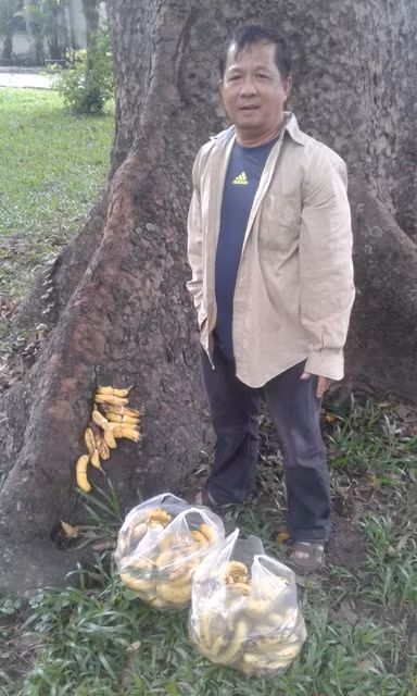 Ngày nào ông Vang cũng mang chuối ra Công viên Tao Đàn cho sóc ăn