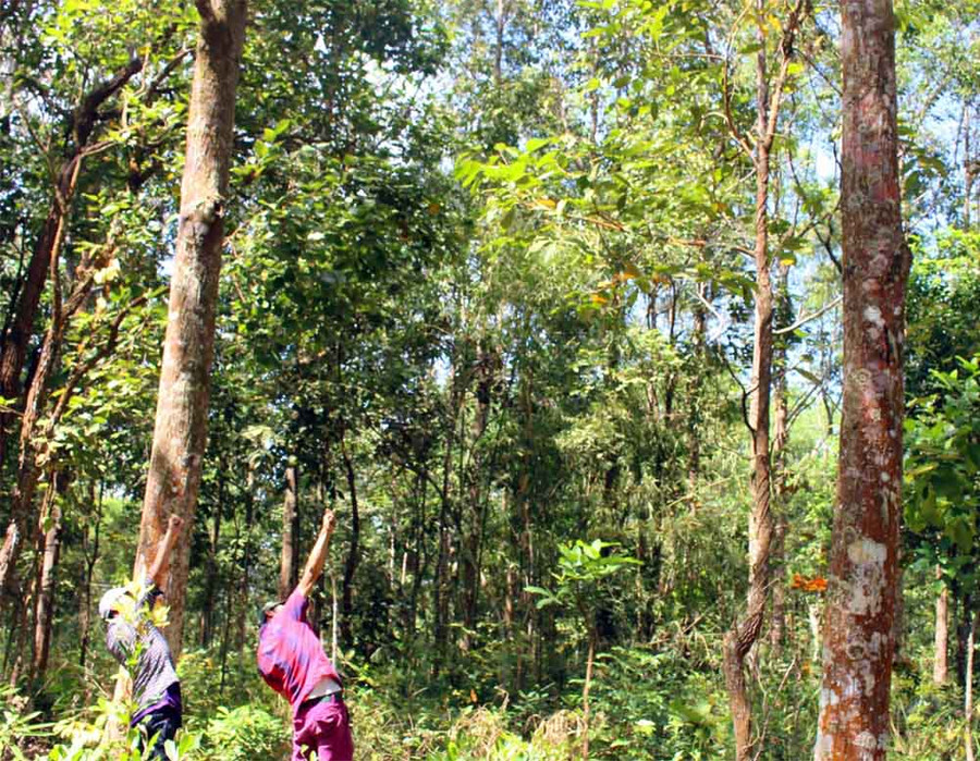 {title} chuyện phòng the,An Giang,yếu sinh lý,chữa yếu sinh lý