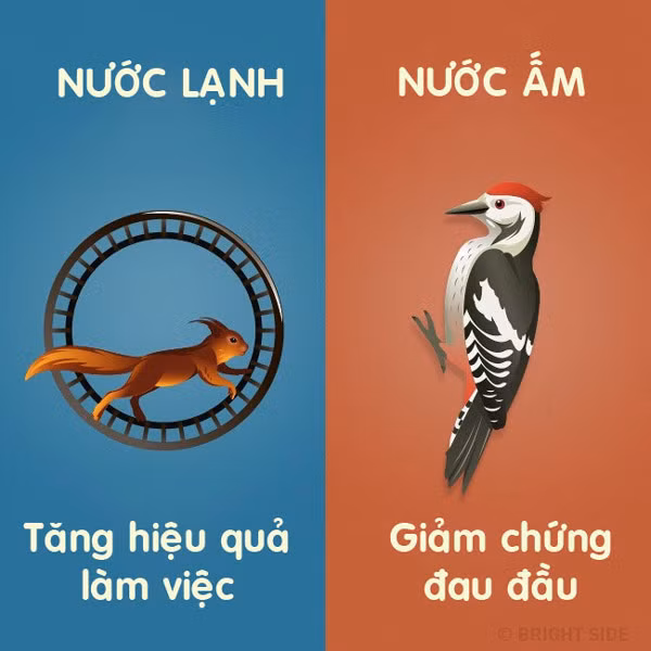 9 loi ich khong tuong cua viec tam bang nuoc lanh va nuoc am hinh anh 7