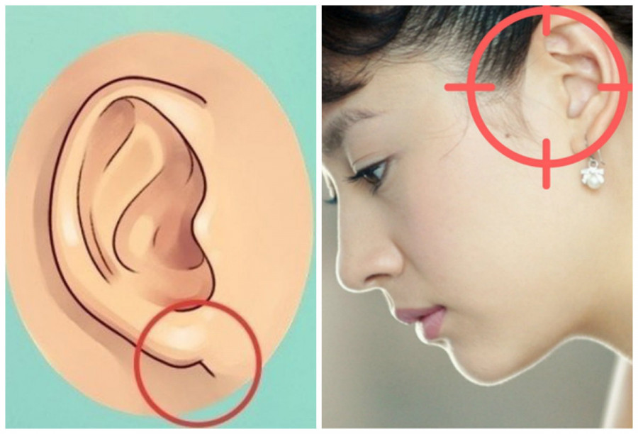 Phụ nữ có 3 tướng tai là “phúc tinh hưởng lộc”, mang tài lộc cho cả gia đình