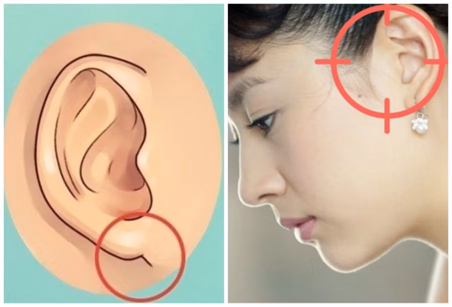 Phụ nữ có 3 tướng tai là “phúc tinh hưởng lộc”, mang tài lộc cho cả gia đình