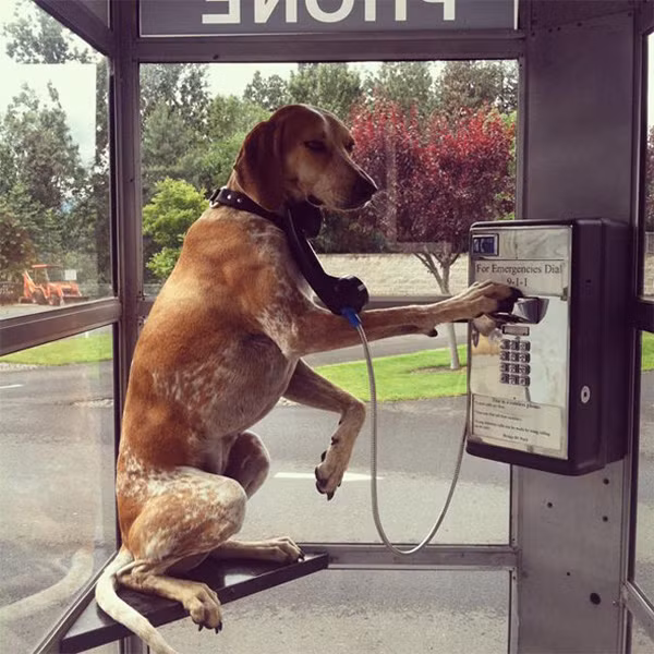 cuoi-te-ghe-16-6-2-kieu-phan-ung-cua-con-gai-khi-bi-da-4