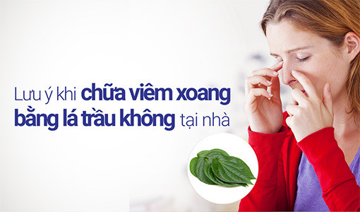 Chữa viêm xoang bằng lá trầu không là giải pháp được nhiều người áp dụng.