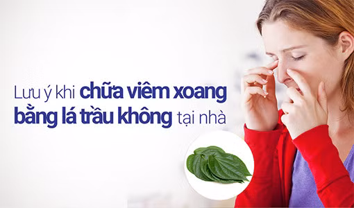 Chữa viêm xoang bằng lá trầu không là giải pháp được nhiều người áp dụng.