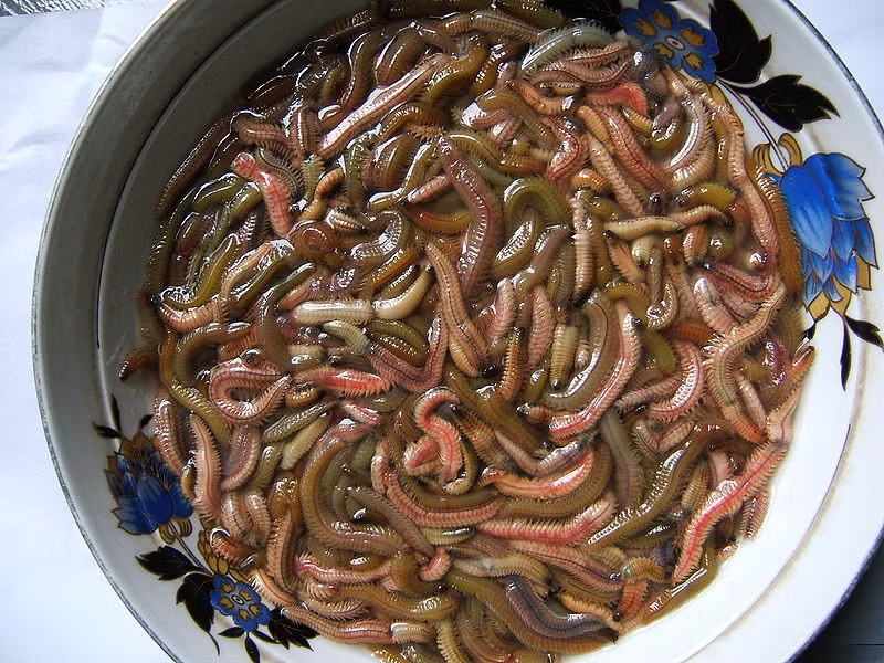 Cách làm chả rươi 