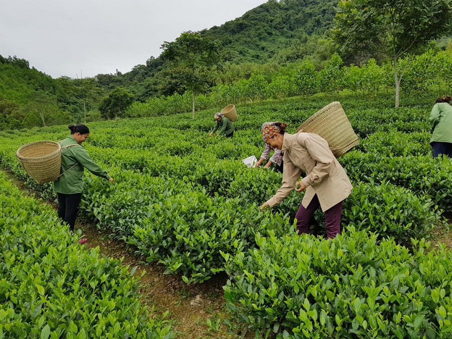 Tập trung triển khai kịp thời các chính sách hỗ trợ giảm nghèo trên địa bàn. Tập trung triển khai kịp thời các chính sách hỗ trợ giảm nghèo trên địa bàn.