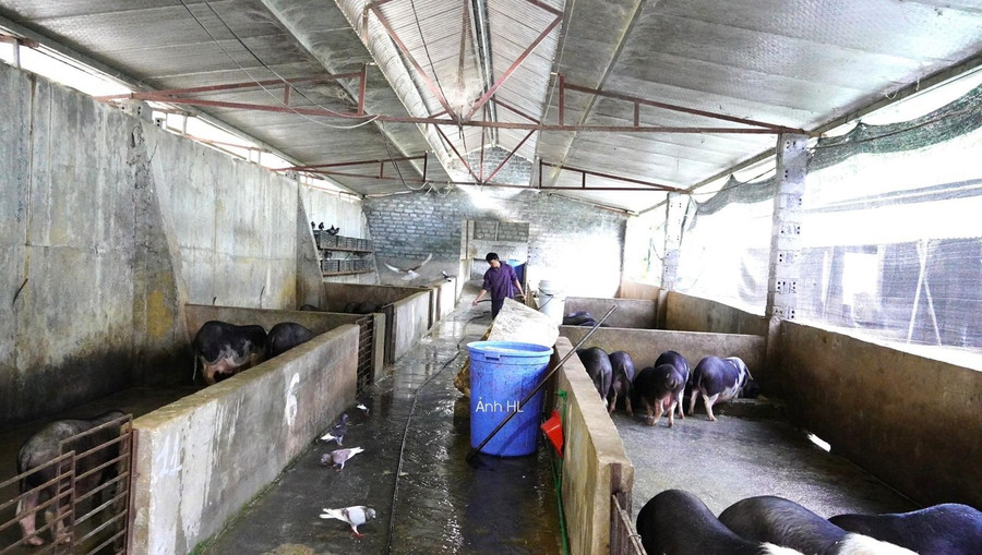 Đẩy mạnh sản xuất trồng trọt chăn nuôi theo hướng hàng hóa. Đẩy mạnh sản xuất trồng trọt chăn nuôi theo hướng hàng hóa.