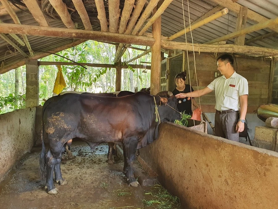 Đẩy nhanh quá trình giảm nghèo vùng đồng bào dân tộc thiểu số