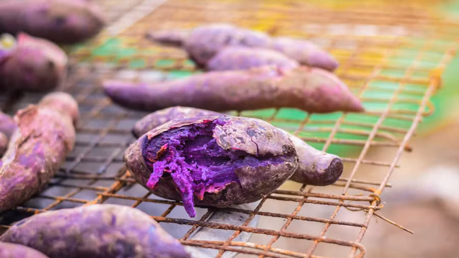 Chế độ ăn của người dân Okinawa chủ yếu là thực phẩm có nguồn gốc thực vật, trong đó có khoai lang. (Ảnh: ITN)