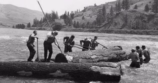 Những nghề nghiệp chỉ còn trong quá khứ ảnh 7