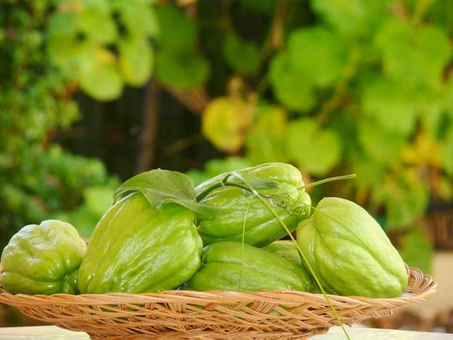 Những thực phẩm giúp bạn xinh đẹp, gợi cảm hơn