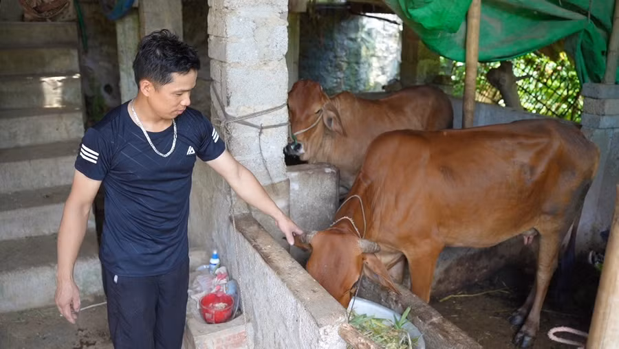 Giải quyết bài toán lao động và giảm nghèo từ nguồn vốn vay giải quyết việc làm.