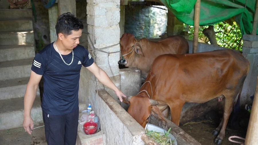 Giải quyết bài toán lao động và giảm nghèo từ nguồn vốn vay giải quyết việc làm.