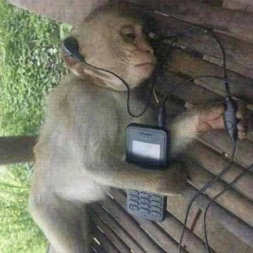 Khi bạn nghe nhạc buồn lúc thất tình.