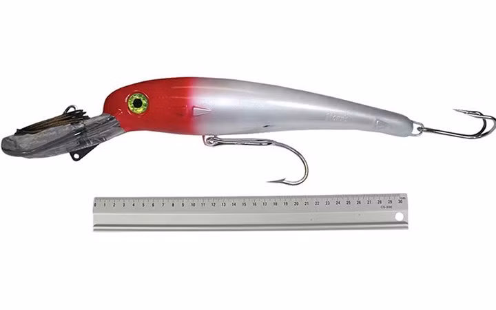 Dân sinh - Những lưỡi câu “đắt như vàng” được giới nhà giàu săn lùng (Hình 5).