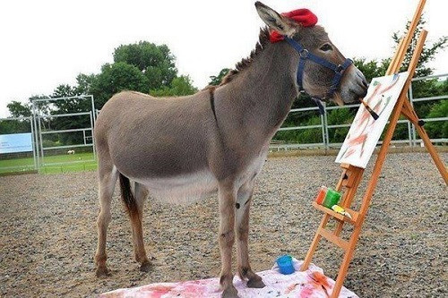 Họa sĩ lừa và tác phẩm để đời.