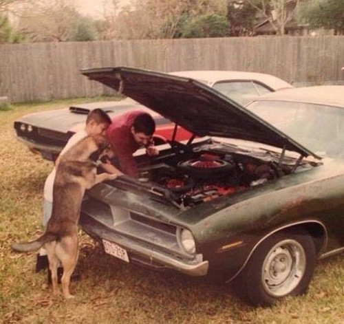 Có họa cùng chia.