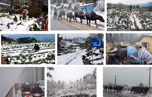 Tin không khí lạnh tăng cường và các chỉ đạo ứng phó