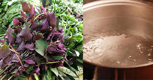 Chỉ cần nắm lá tía tô, bạn sẽ có làn da trắng hồng chẳng cần kem trộn ảnh 2 Chạy ngay ra chợ mua nắm lá tía tô, bạn sẽ có làn da trắng hồng chẳng cần kem trộn!-2