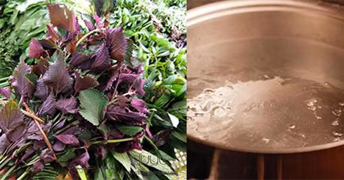 Chỉ cần nắm lá tía tô, bạn sẽ có làn da trắng hồng chẳng cần kem trộn ảnh 2 Chạy ngay ra chợ mua nắm lá tía tô, bạn sẽ có làn da trắng hồng chẳng cần kem trộn!-2