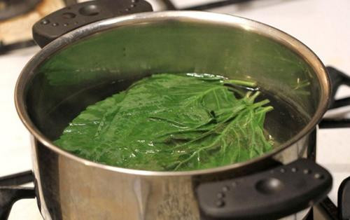 Chỉ cần nắm lá tía tô, bạn sẽ có làn da trắng hồng chẳng cần kem trộn ảnh 4 Chạy ngay ra chợ mua nắm lá tía tô, bạn sẽ có làn da trắng hồng chẳng cần kem trộn!-4