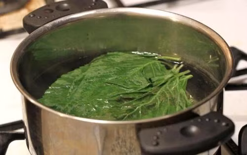 Chỉ cần nắm lá tía tô, bạn sẽ có làn da trắng hồng chẳng cần kem trộn ảnh 4 Chạy ngay ra chợ mua nắm lá tía tô, bạn sẽ có làn da trắng hồng chẳng cần kem trộn!-4