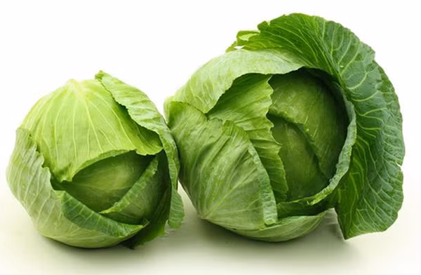 5 thực phẩm rẻ bèo giúp bổ thận khiến bạn khỏe mạnh hơn mỗi ngày-2