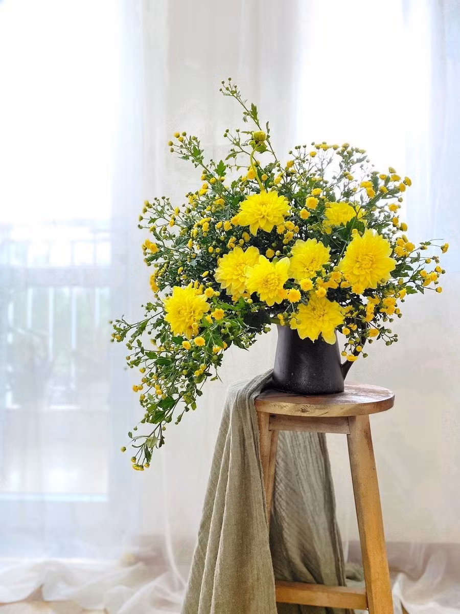 Thược dược vàng mĩ với hoa cúc chi.