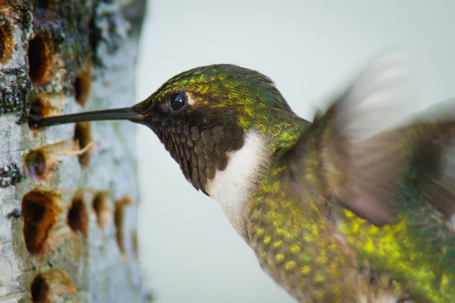 Thiên đường thiên nhiên biến hóa theo mùa ở Mỹ ảnh 7