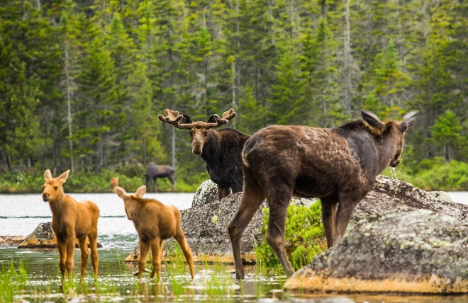 Thiên đường thiên nhiên biến hóa theo mùa ở Mỹ ảnh 2