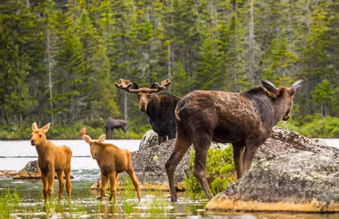 Thiên đường thiên nhiên biến hóa theo mùa ở Mỹ ảnh 2