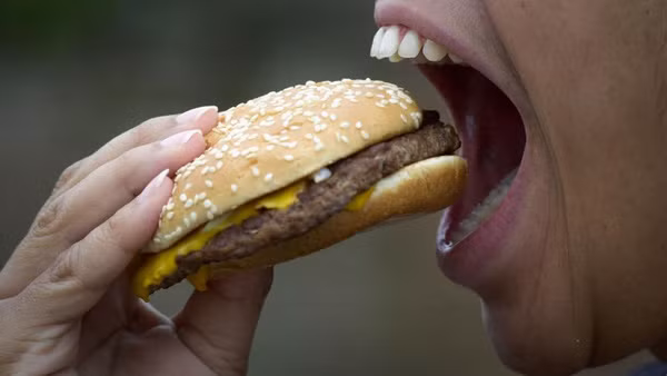 Tại sao chỉ có con người mới có cằm còn các loài vật khác thì không? - Ảnh 3.