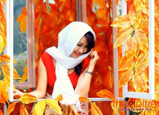 Bước sang Bính Thân 2016, nữ MC cho biết thêm, bản thân cô sẽ đi học thêm các khóa đào tạo ở VTV dành cho các Biên tập viên, dẫn chương trình