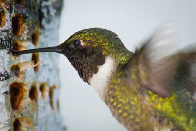 Thiên đường thiên nhiên biến hóa theo mùa ở Mỹ